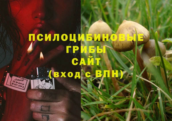 mdpv Верхний Тагил
