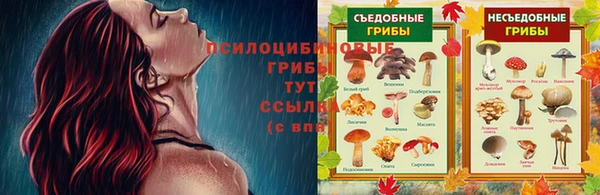 mdpv Верхний Тагил